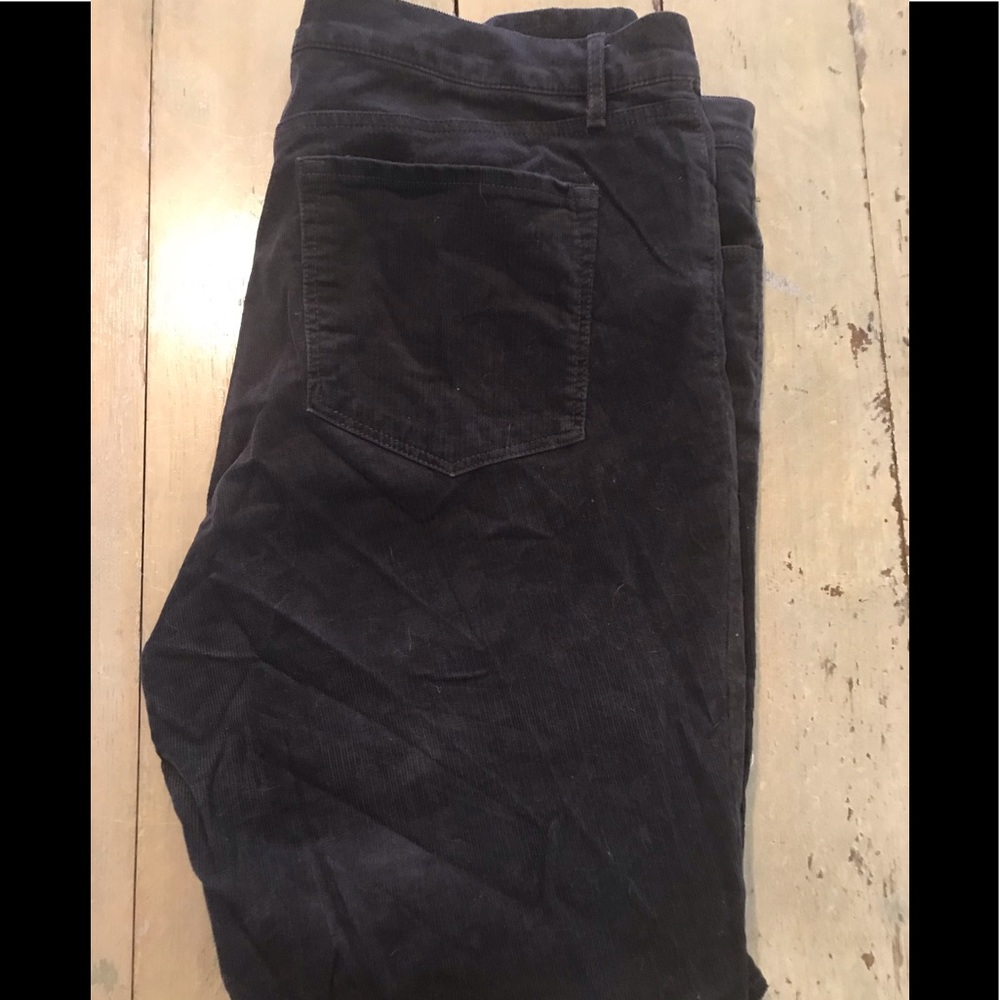 Size 18 dark brown LOFT boot cut corduroy pants
